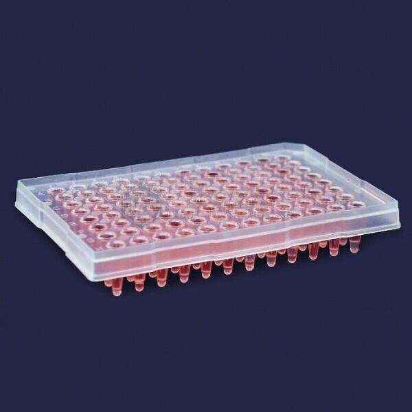 ISOLAB 123.02.096 PCR plağı - 96 kuyulu - 0,2 ml - steril - yarım etekli (10 adet)