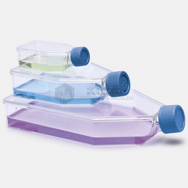 ISOLAB 120.11.025 şişe - hücre kültürü - geçirgen kapaklı - 25 cm2 - 7 ml (200 adet)
