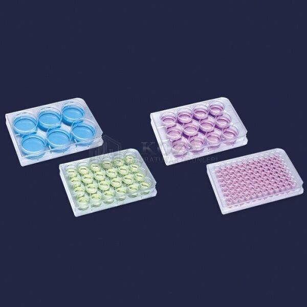ISOLAB 122.11.006 plak - hücre kültürü - düz kuyulu 3 ml (100 adet)