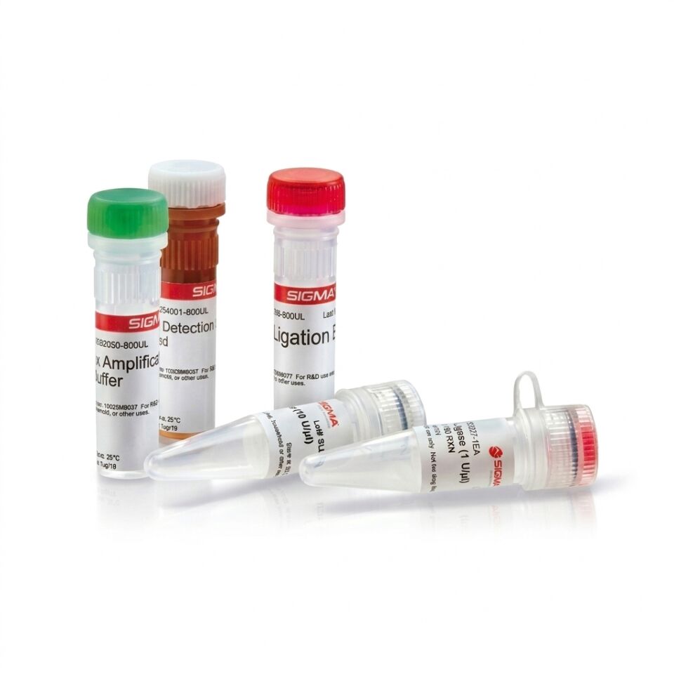 Sigma Aldrich AV100841-100μL Anti-IRF8 antibody produced in rabbit