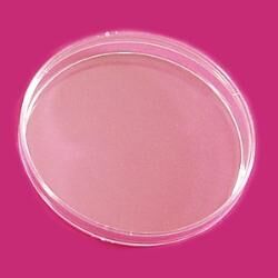 LP Italiana L121518 Petri Kutusu, Plastik PS 100 mm  Ambalaj: 10 Ad.