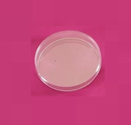 LP Italiana L122510A Petri Kutusu, Plastik PS 90 mm Gama  Ambalaj: NULL