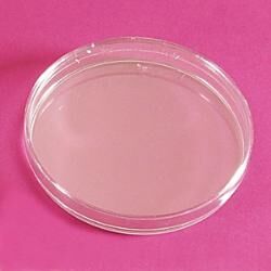 LP Italiana L126518 Petri Kutusu, Plastik PS 120 mm  Ambalaj: 10 Ad.
