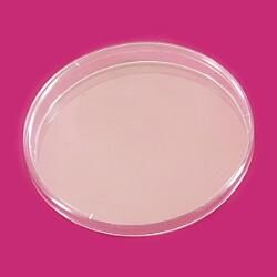 LP Italiana L127518 Petri Kutusu, Plastik PS 150 mm  Ambalaj: 10 Ad.