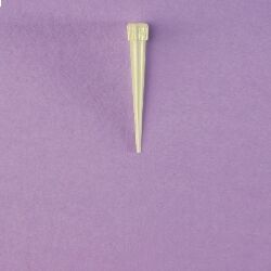 LP Italiana L151143 Pipet Ucu, Eppendorf, Sarı, 5-100 µl, 1000'lik Poşette  Ambalaj: 1000 Ad.